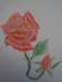 rose3_small.jpg