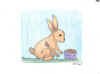 rabbit.jpg (107197 bytes)